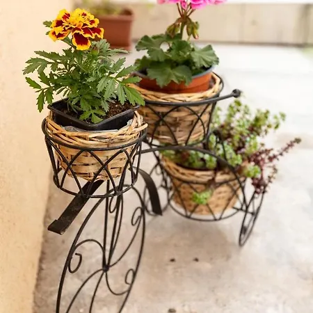 Muzsa Vendeghaz * Veszprém